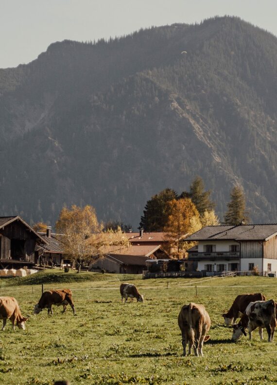 pexels-alesia-kozik-6022628